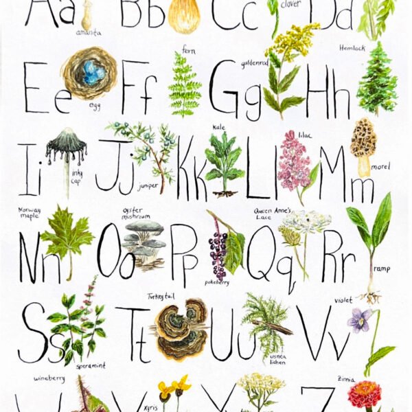Wild ABCs