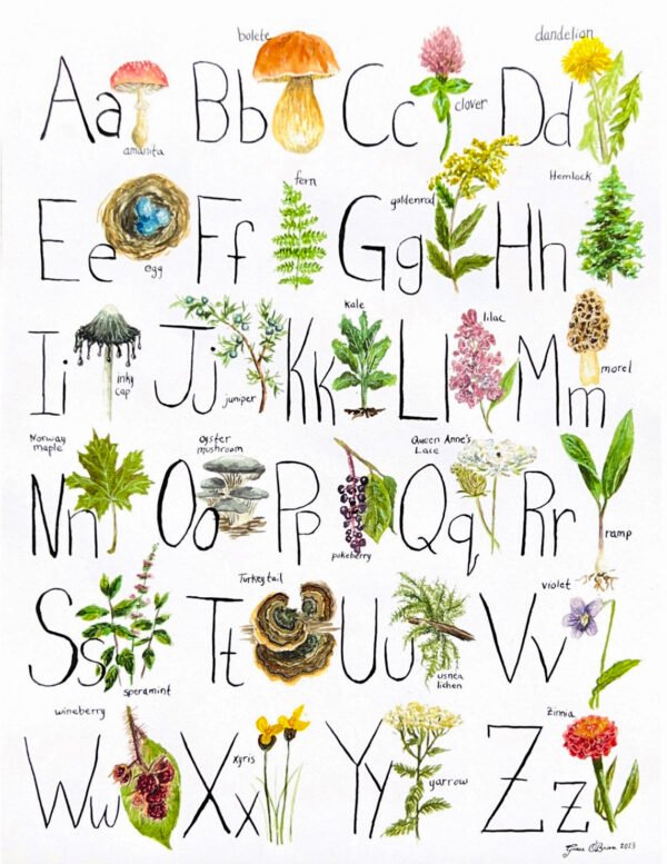 Wild ABCs