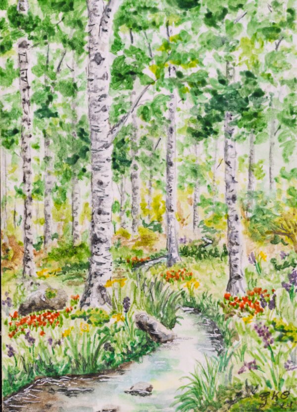 The Birch Forest