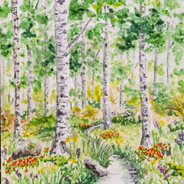 The Birch Forest, 2024