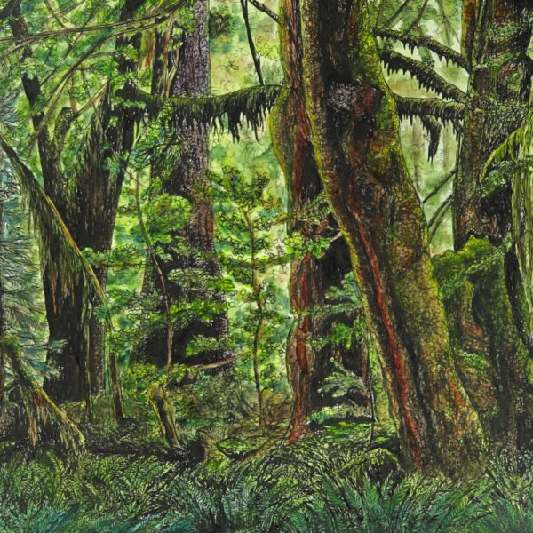 Olympic National Park, 2018