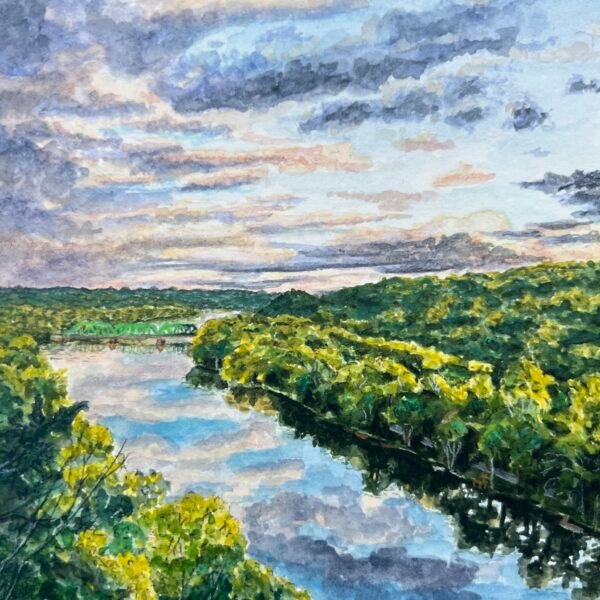 The Milford Bluffs, 2025